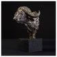 Cape Buffalo Head Study by Hamish Mackie