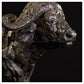 Cape Buffalo Head Study by Hamish Mackie