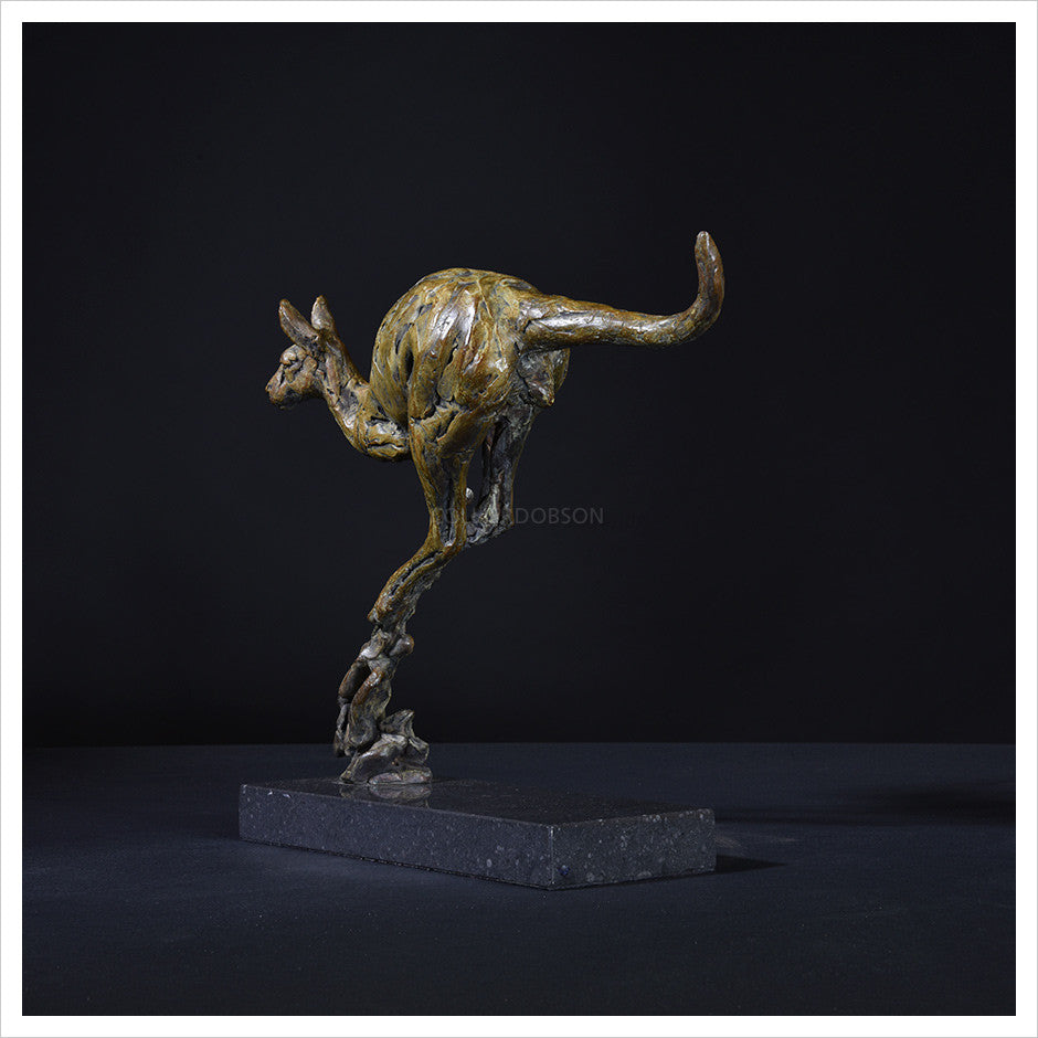 Single Kangaroo by Hamish Mackie