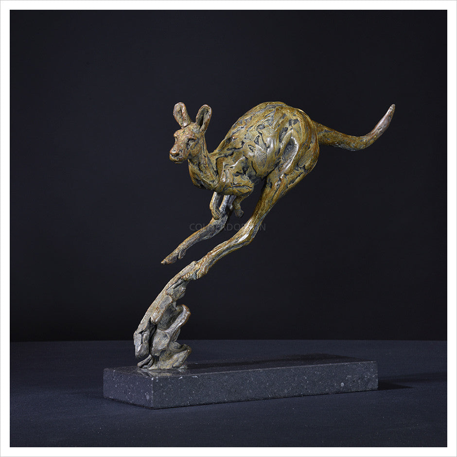 Single Kangaroo by Hamish Mackie