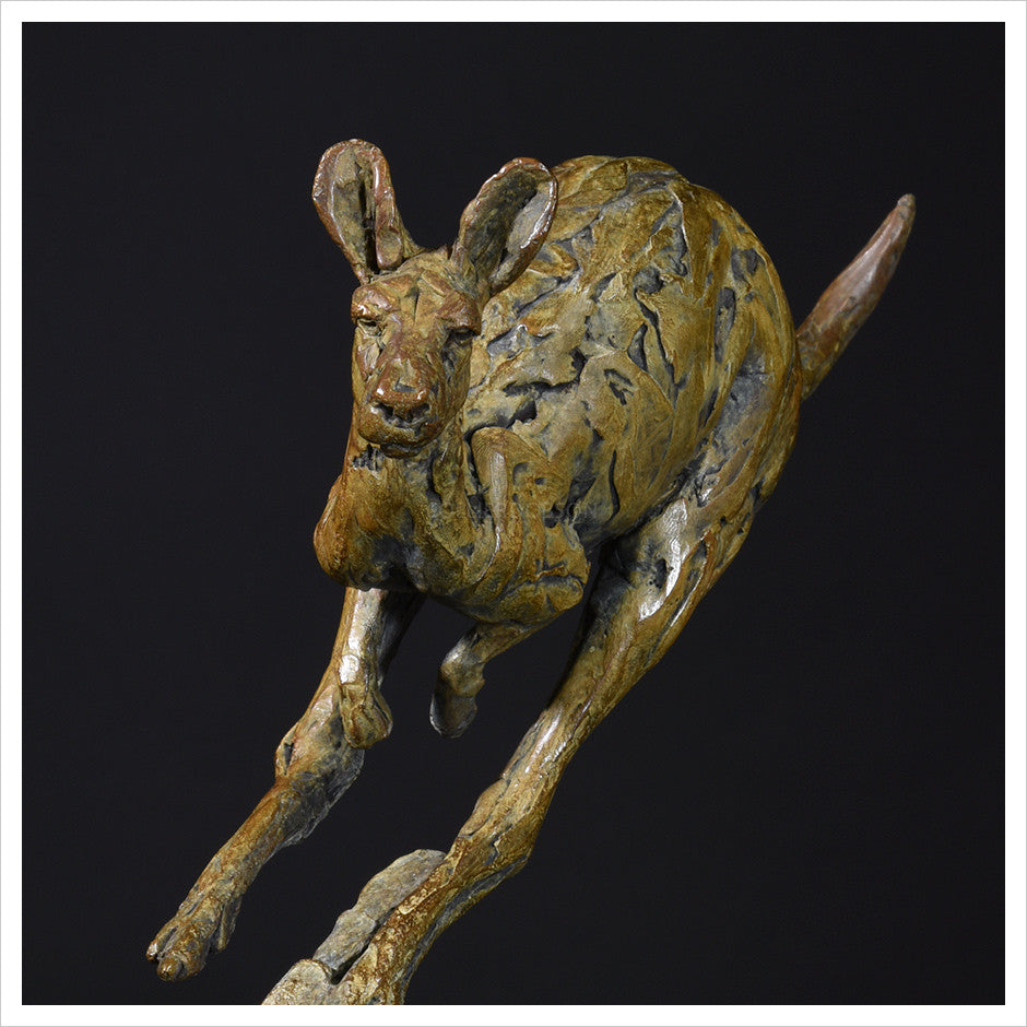 Single Kangaroo by Hamish Mackie