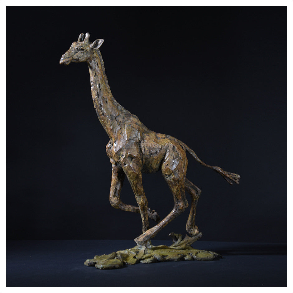 Giraffe Running by Hamish Mackie