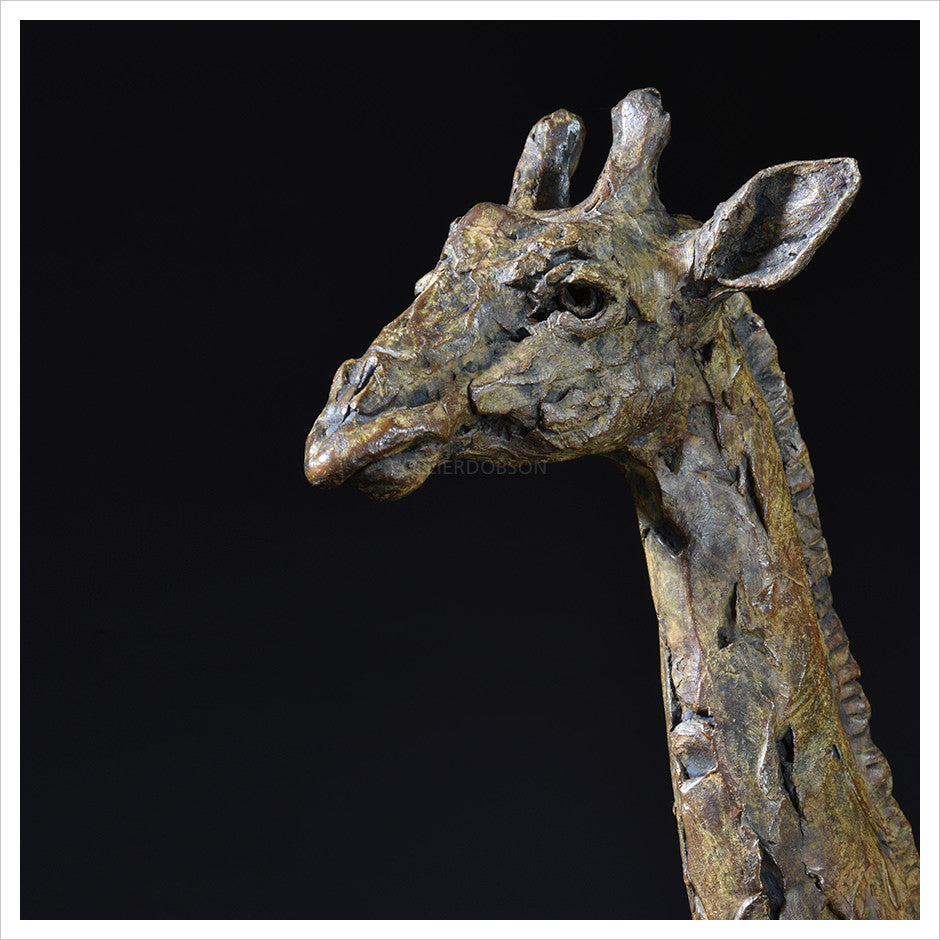 Giraffe Running by Hamish Mackie