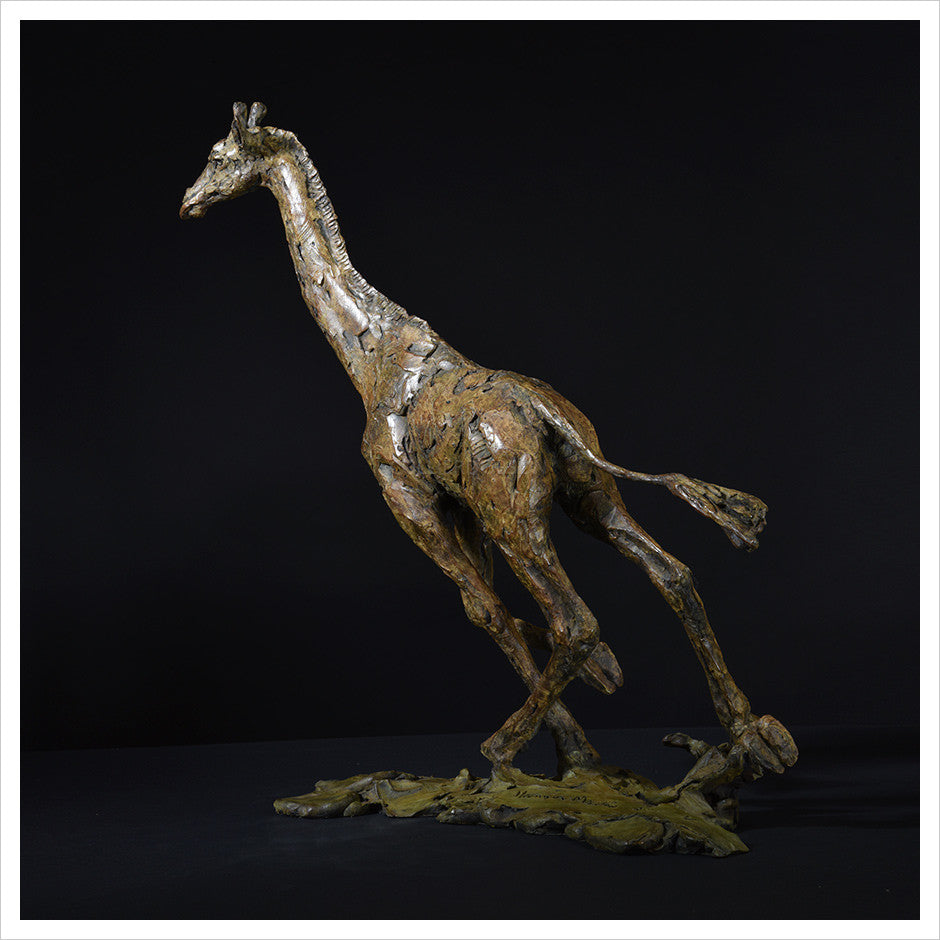 Giraffe Running by Hamish Mackie