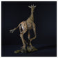 Giraffe Running by Hamish Mackie
