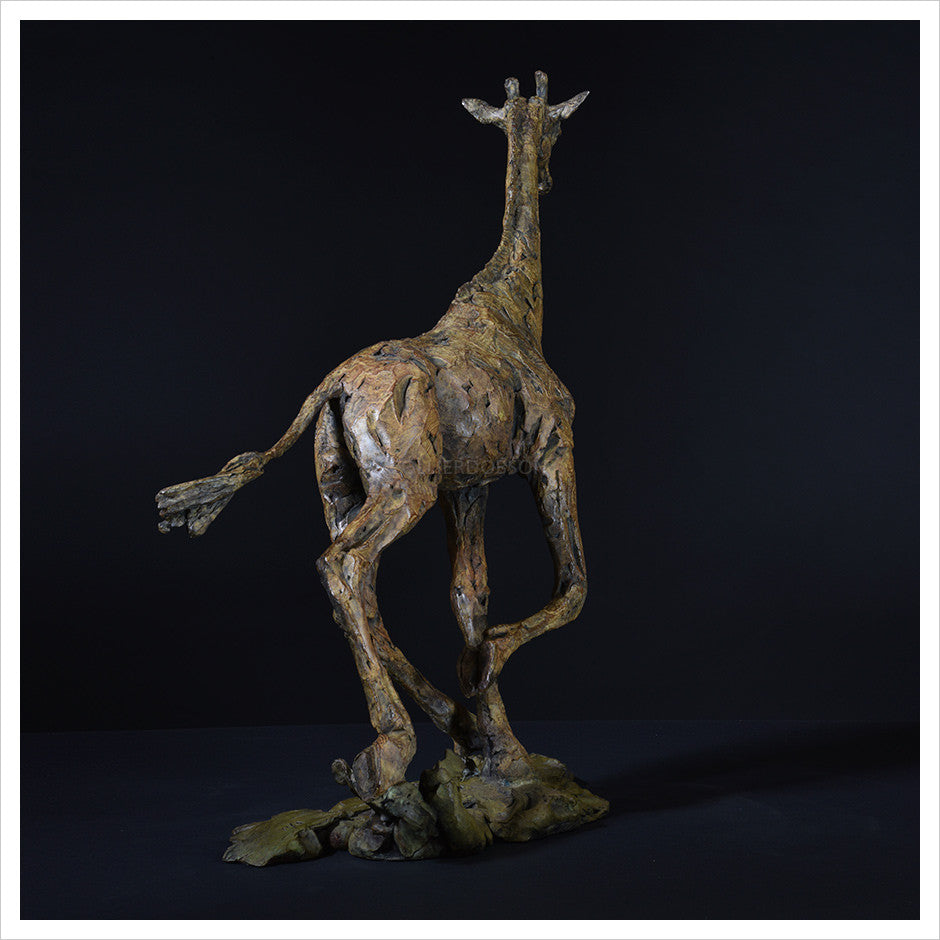 Giraffe Running by Hamish Mackie