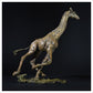 Giraffe Running by Hamish Mackie