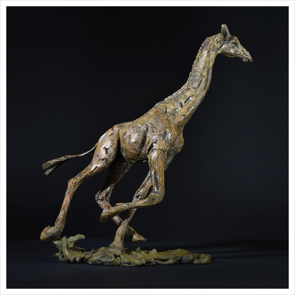 Giraffe Running by Hamish Mackie