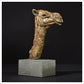 Camel Head Female by Hamish Mackie