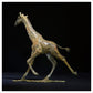 Giraffe Male by Hamish Mackie