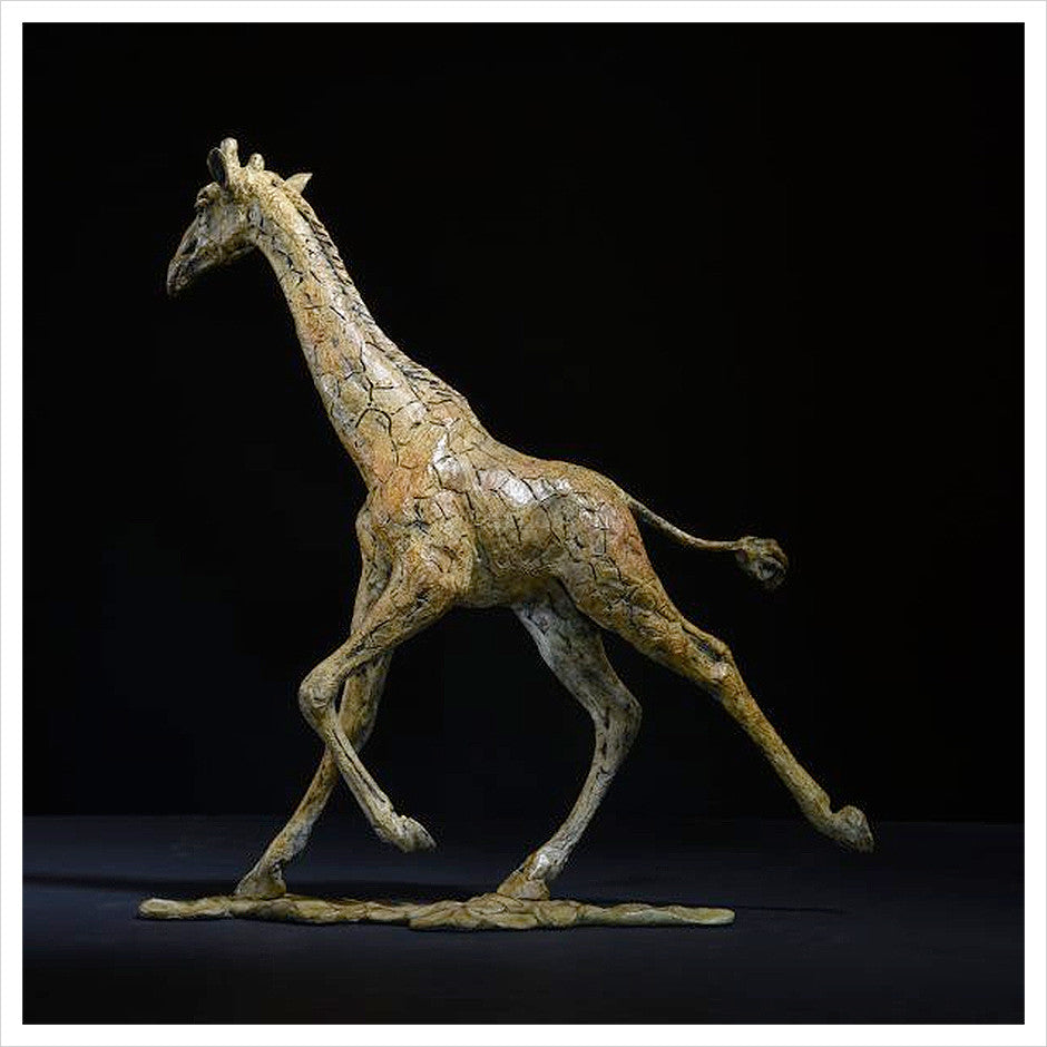 Giraffe Male by Hamish Mackie
