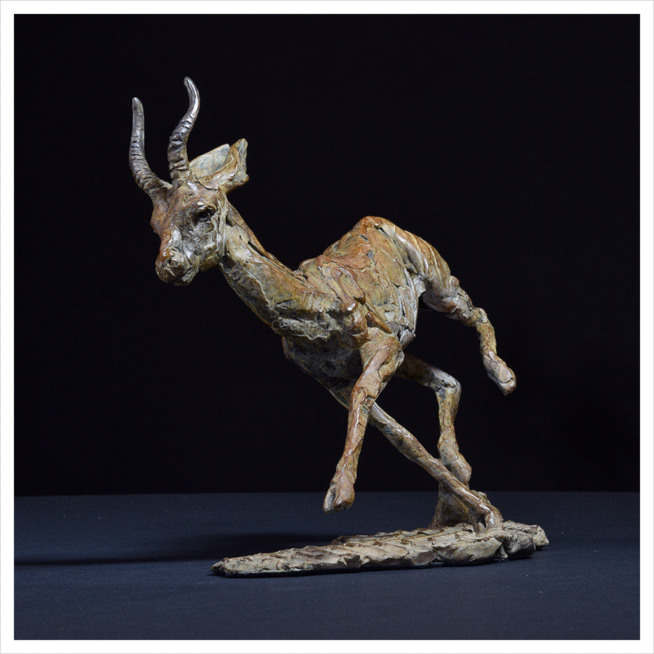 Arabian Gazelle I by Hamish Mackie
