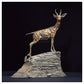 Arabian Gazelle III by Hamish Mackie