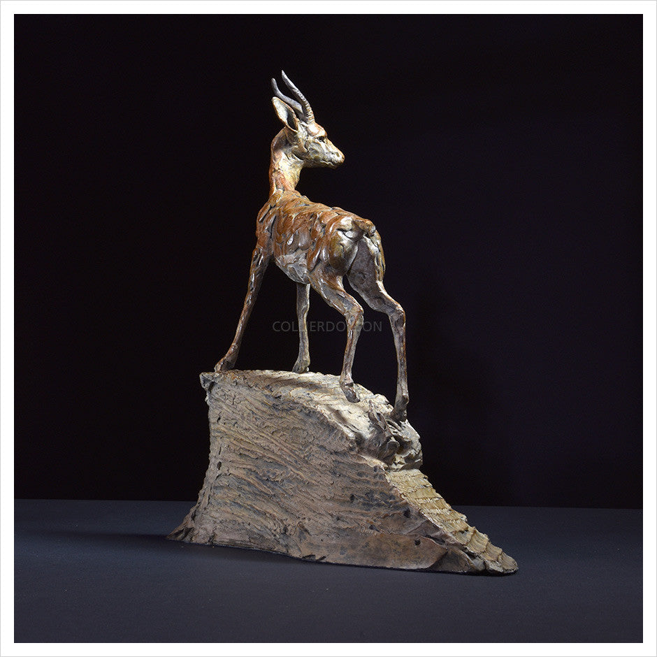 Arabian Gazelle III by Hamish Mackie