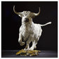 White Park Bull by Hamish Mackie