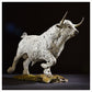 White Park Bull by Hamish Mackie