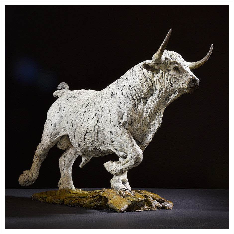 White Park Bull by Hamish Mackie