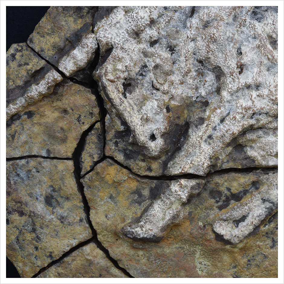 Bull Relief by Hamish Mackie