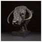 Long Horn Bull Head by Hamish Mackie
