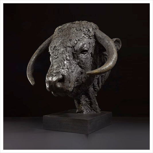 Long Horn Bull Head by Hamish Mackie