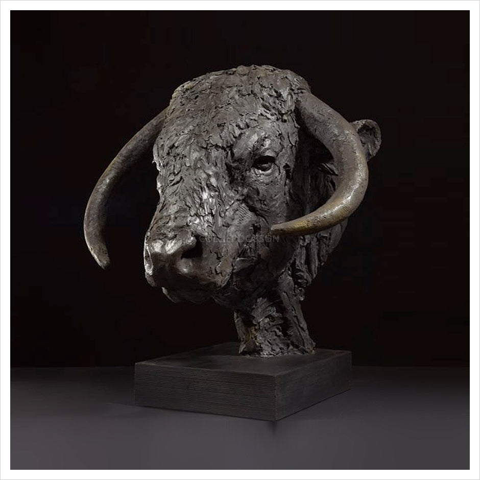 Long Horn Bull Head by Hamish Mackie