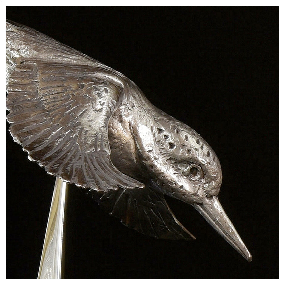 Kingfisher - Hallmarked Silver by Hamish Mackie