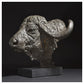 Cape Buffalo Head by Hamish Mackie