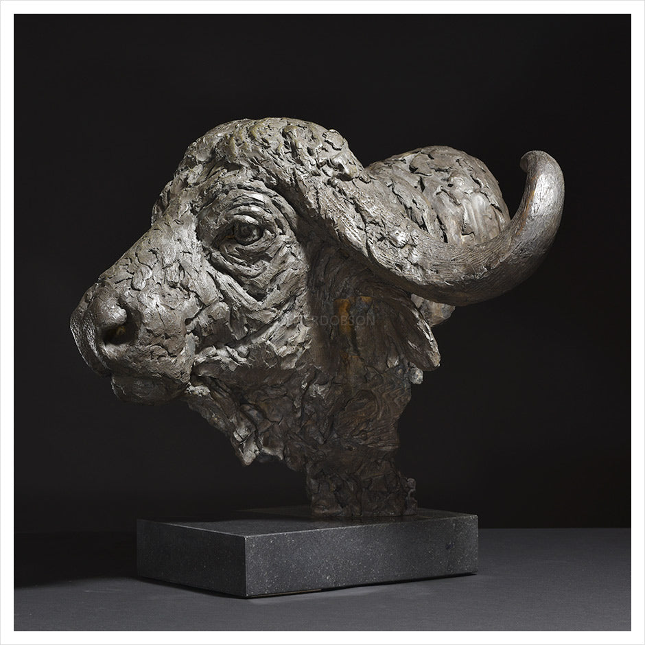 Cape Buffalo Head by Hamish Mackie