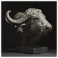 Cape Buffalo Head by Hamish Mackie