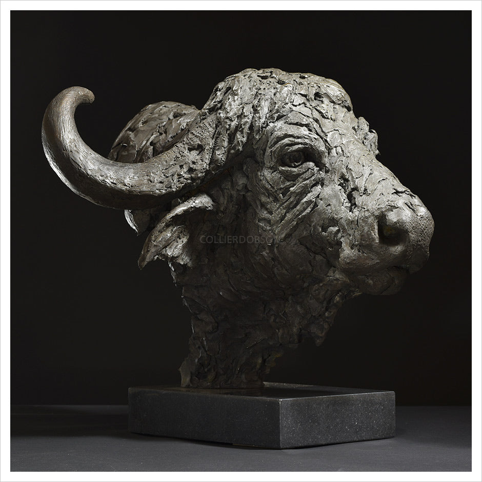 Cape Buffalo Head by Hamish Mackie