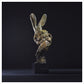 Hare Head 2018 by Hamish Mackie
