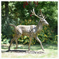 Fallow Buck Running by Hamish Mackie