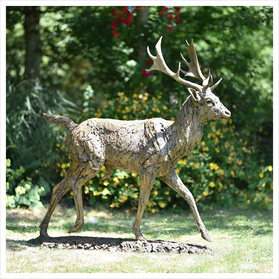 Fallow Buck Running by Hamish Mackie