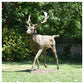 Fallow Buck Running by Hamish Mackie