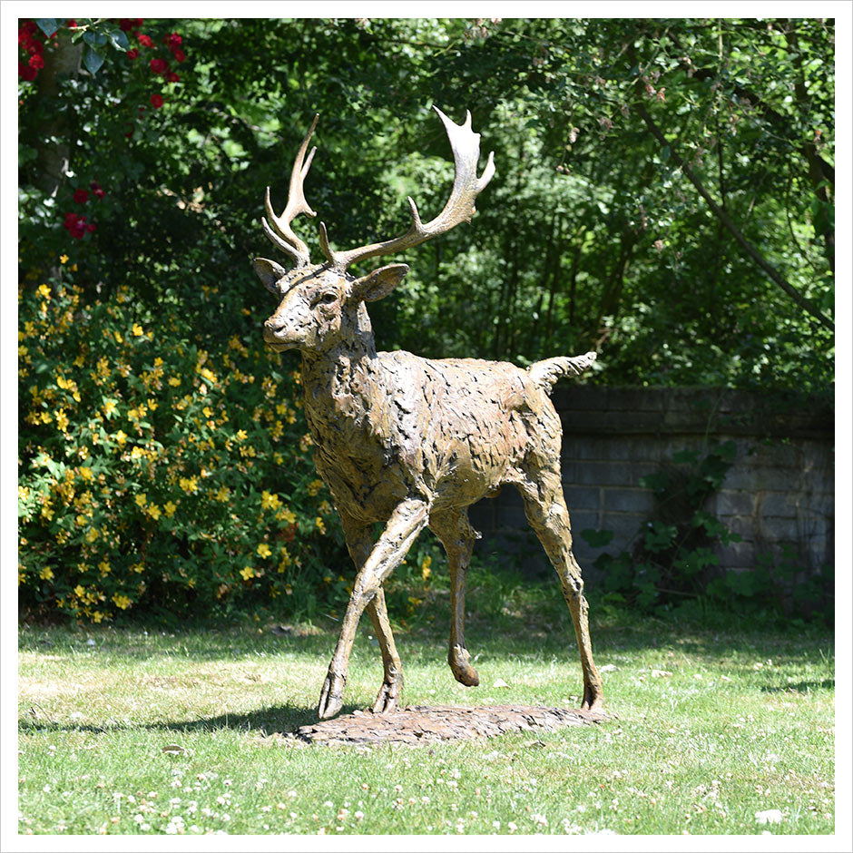 Fallow Buck Running by Hamish Mackie