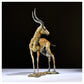 Impala by Hamish Mackie