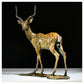 Impala by Hamish Mackie