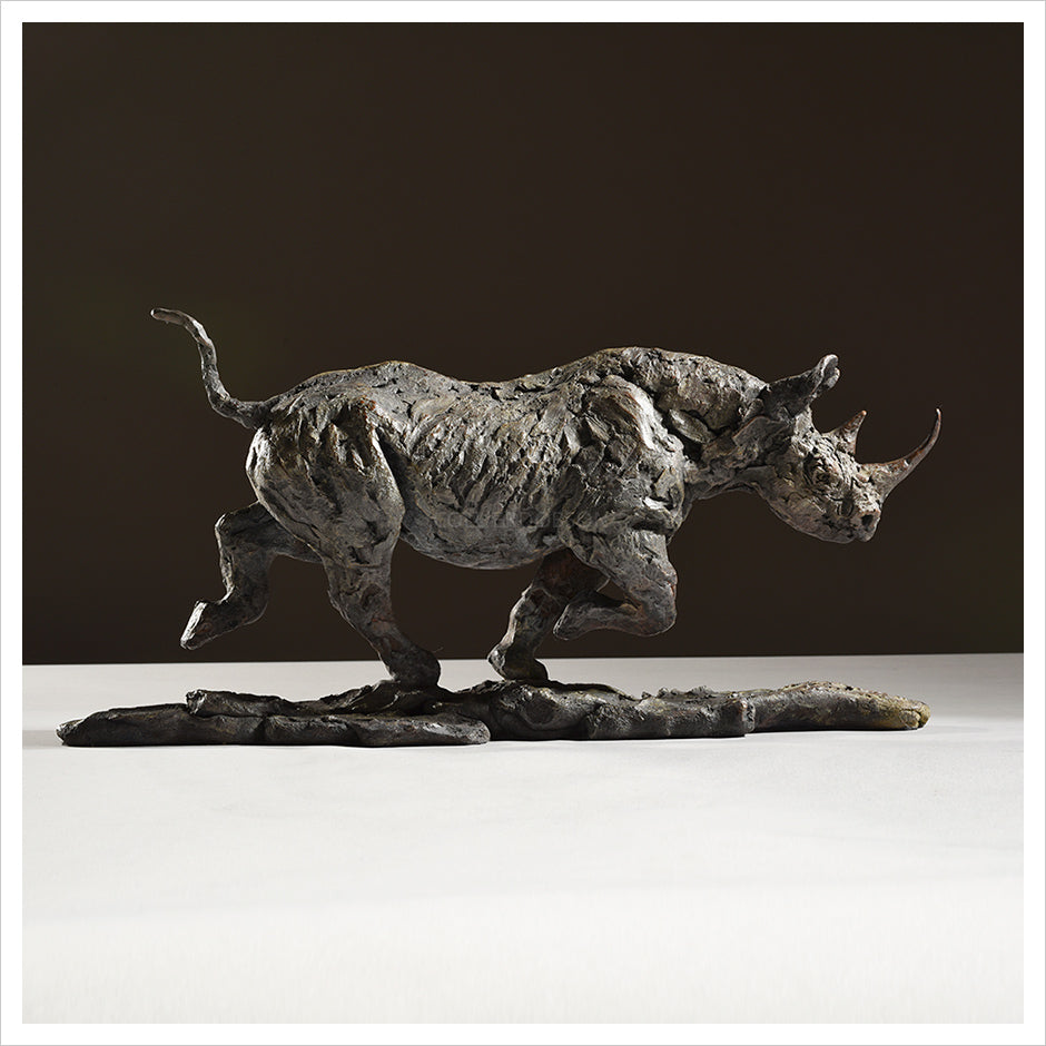 Black Rhino Running by Hamish Mackie