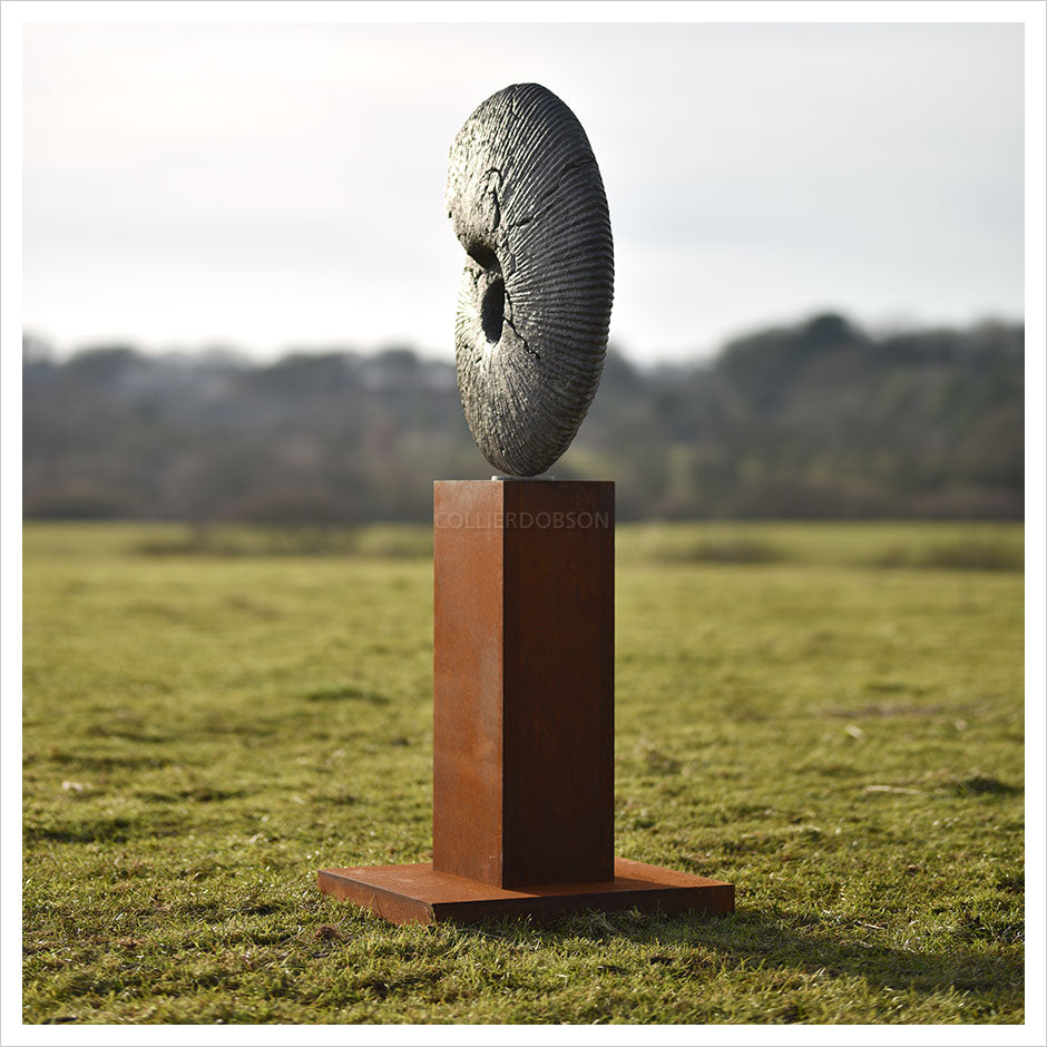 Ammonite Jurassic Cracked by Hamish Mackie