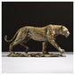 Lioness Walking by Hamish Mackie