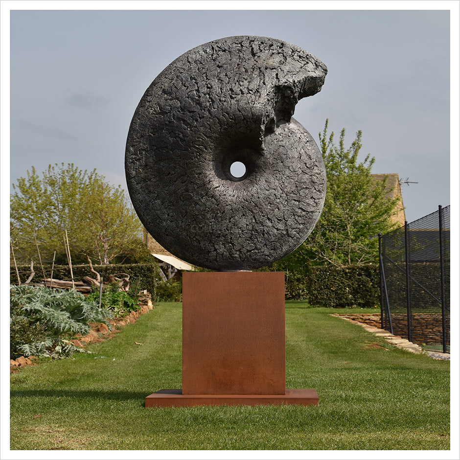 Ammonite Cretaceous