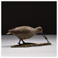 Woodcock Eating Worm by Hamish Mackie