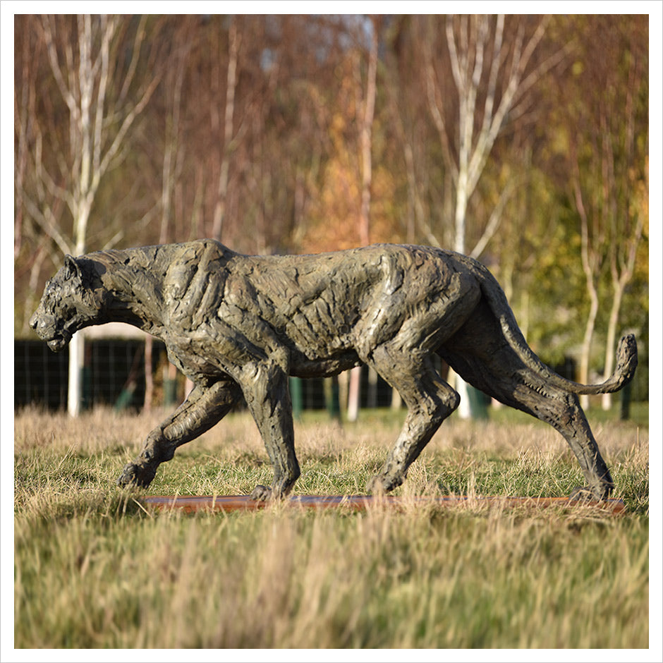 Lioness Life Size by Hamish Mackie