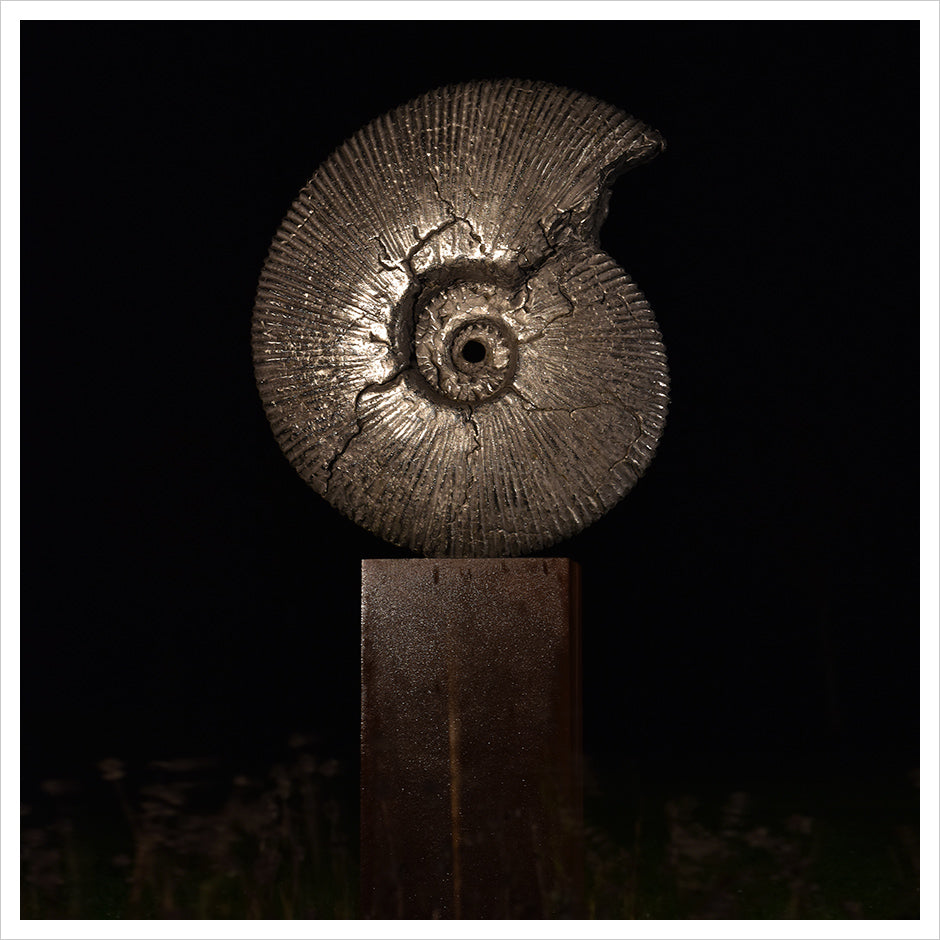 Ammonite Jurassic Cracked - Stainless Steel by Hamish Mackie
