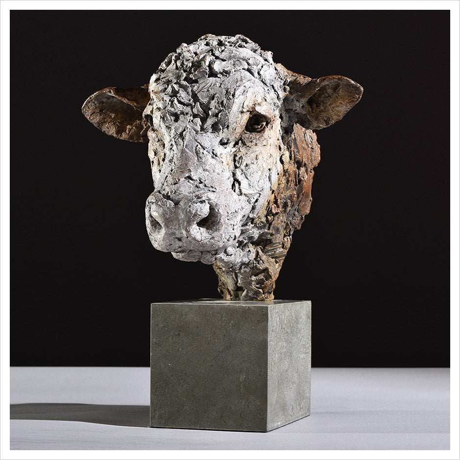 Hereford Bull Head by Hamish Mackie