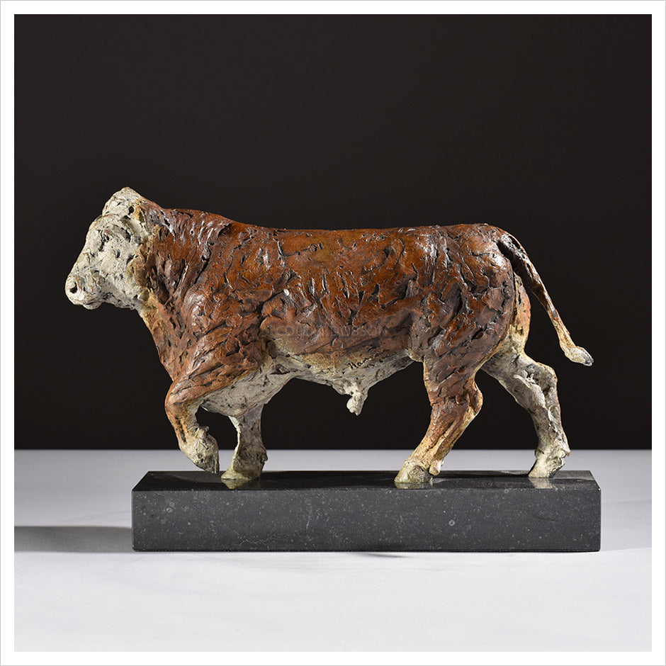 Hereford Bull by Hamish Mackie