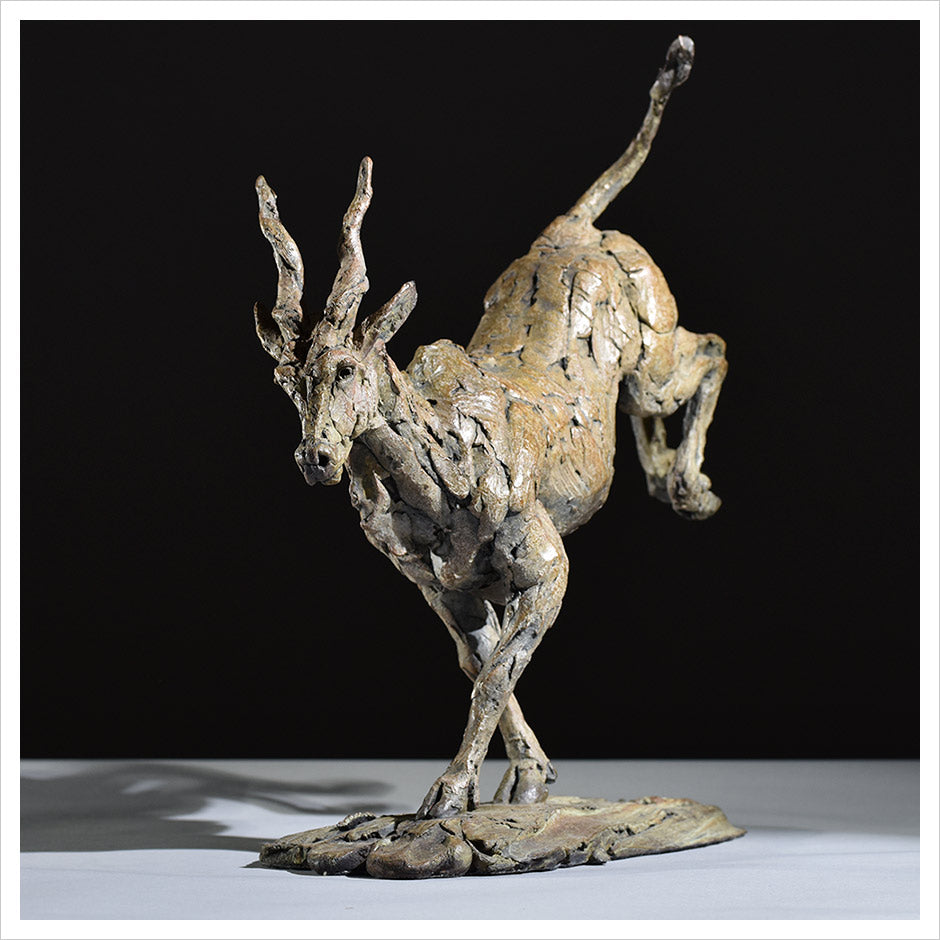 Eland by Hamsih Mackie