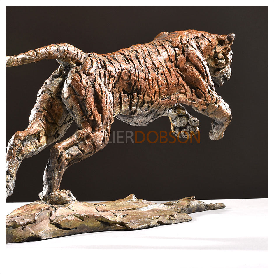 Tiger by Hamish Mackie