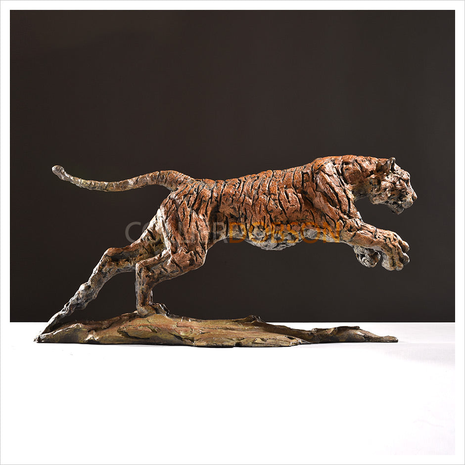 Tiger by Hamish Mackie