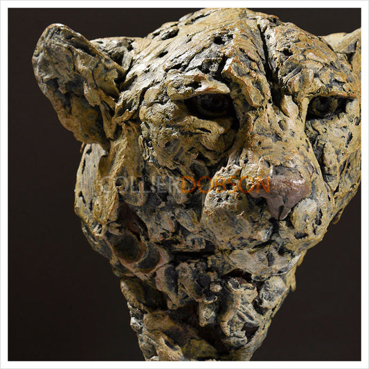Cheetah Head Study (Mud Original) by Hamish Mackie
